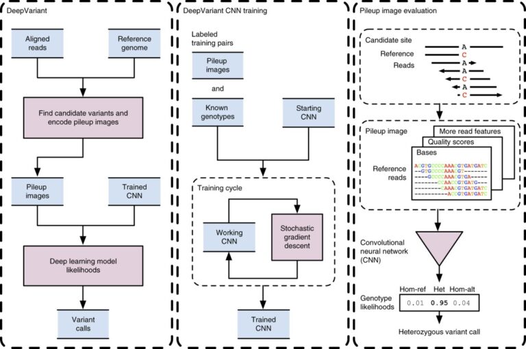 DeepVariant Re-using the Directory for Intermediate Results in /tmp/tmpcgn0s8jv